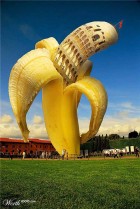 bannanas