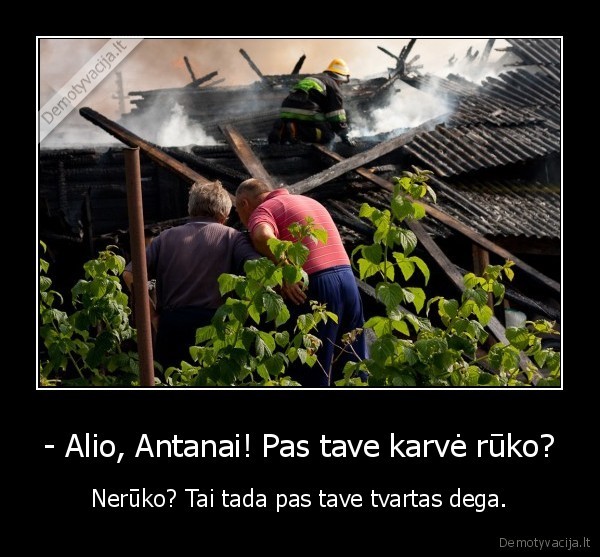 - Alio, Antanai! Pas tave karvė rūko?