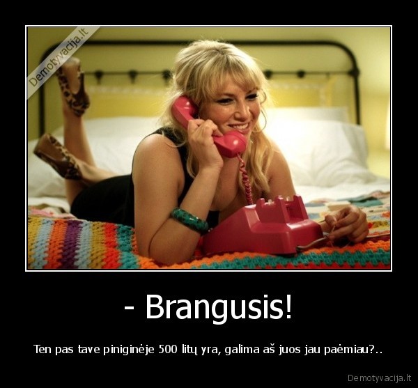 - Brangusis!