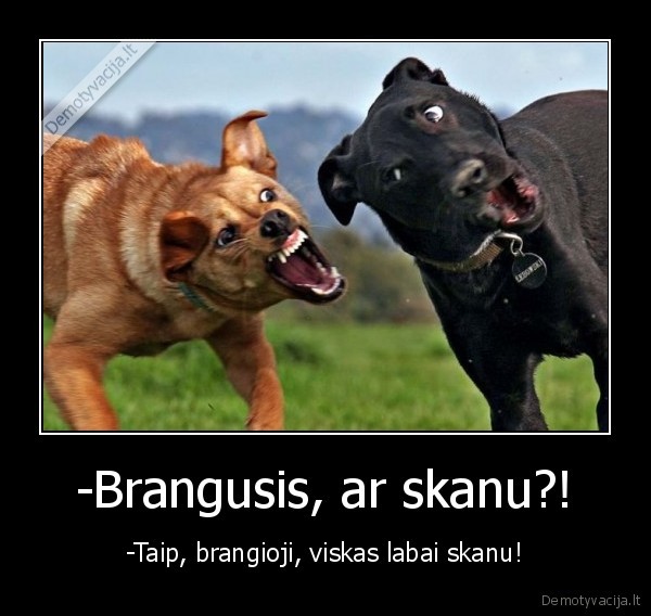 -Brangusis, ar skanu?!