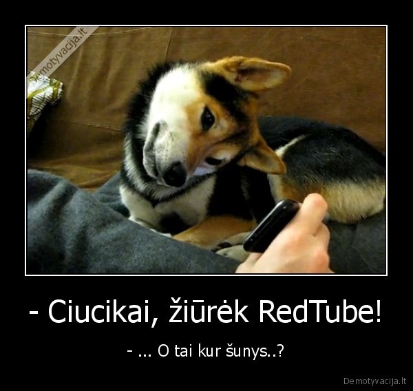 - Ciucikai, žiūrėk RedTube!