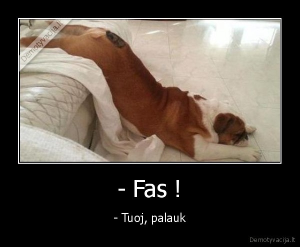 - Fas !