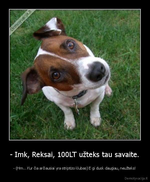 - Imk, Reksai, 100LT užteks tau savaite.