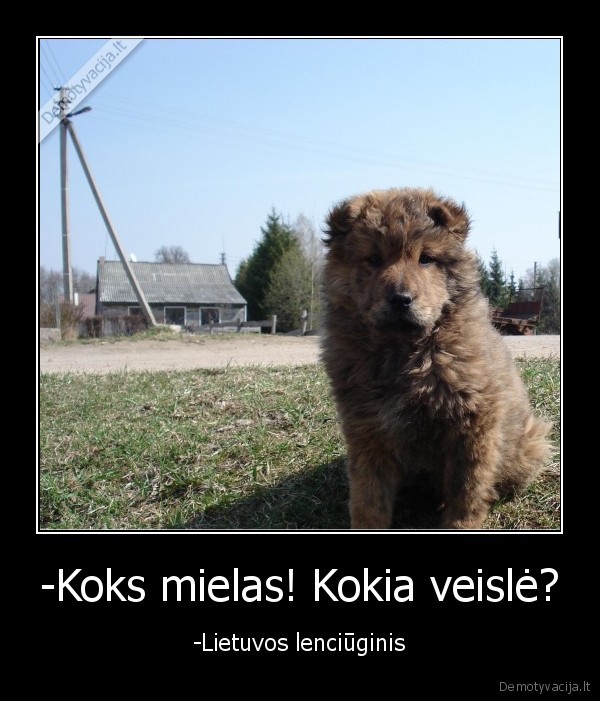 -Koks mielas! Kokia veislė?