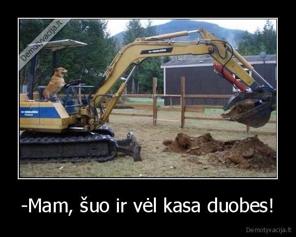 -Mam, šuo ir vėl kasa duobes!