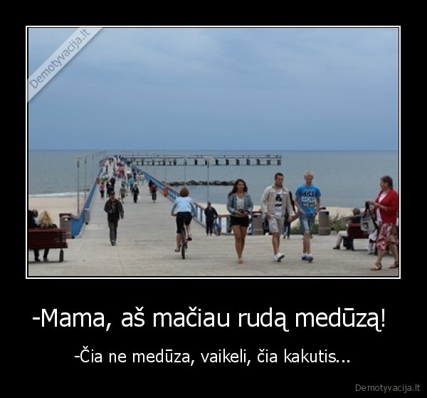 palanga,meduzos