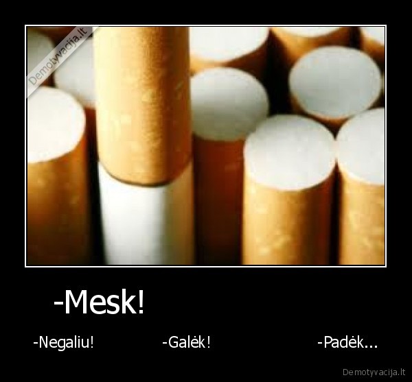 -Mesk!                     