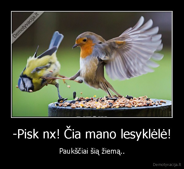 -Pisk nx! Čia mano lesyklėlė!