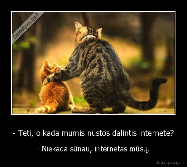 katinai,internetas