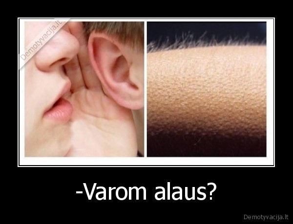 -Varom alaus?