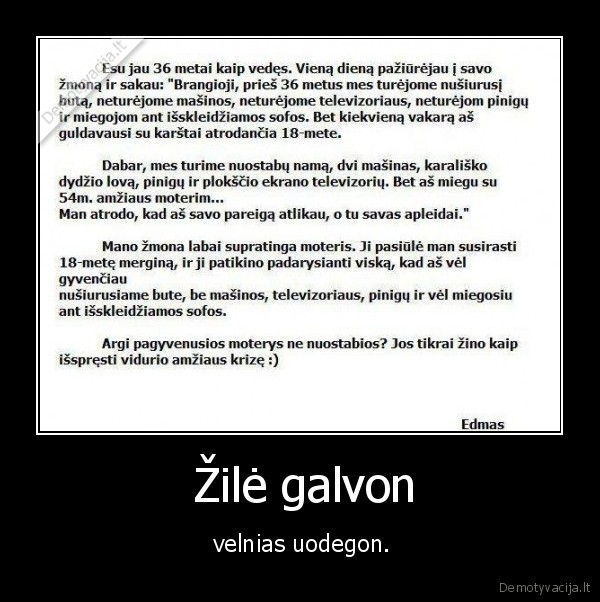  Žilė galvon