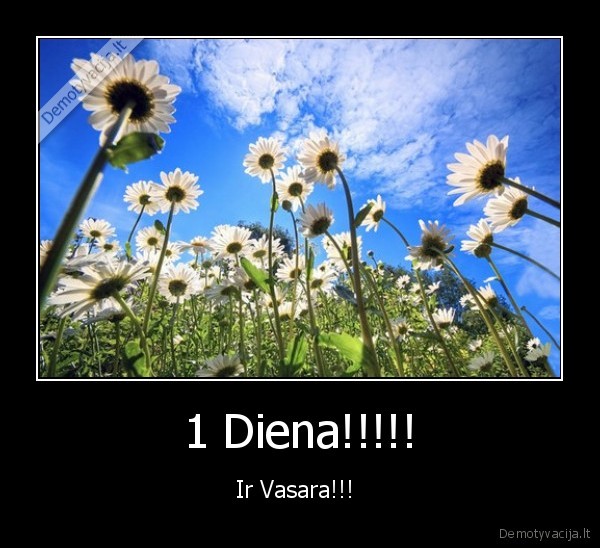 1 Diena!!!!!