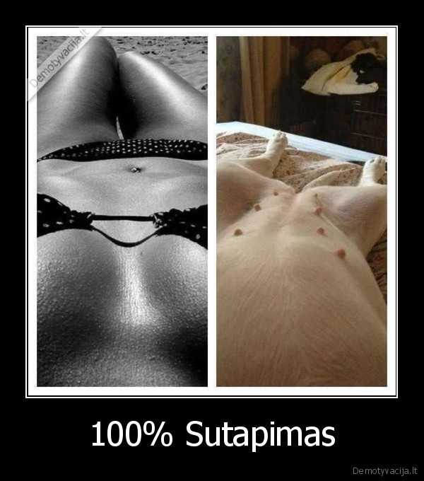 100% Sutapimas