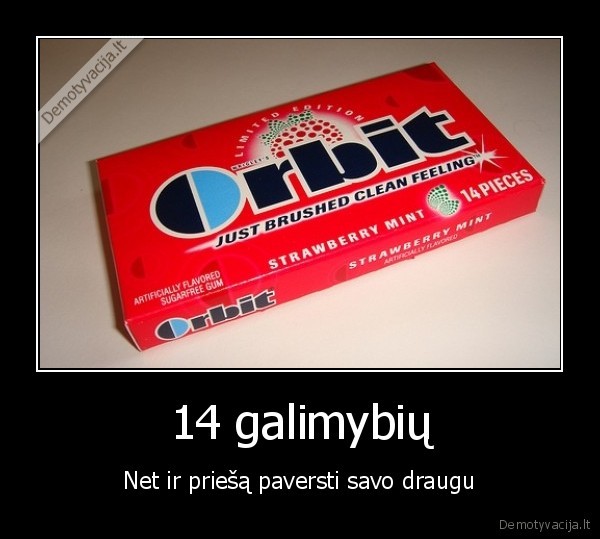 14 galimybių