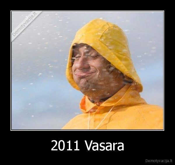 2011 Vasara