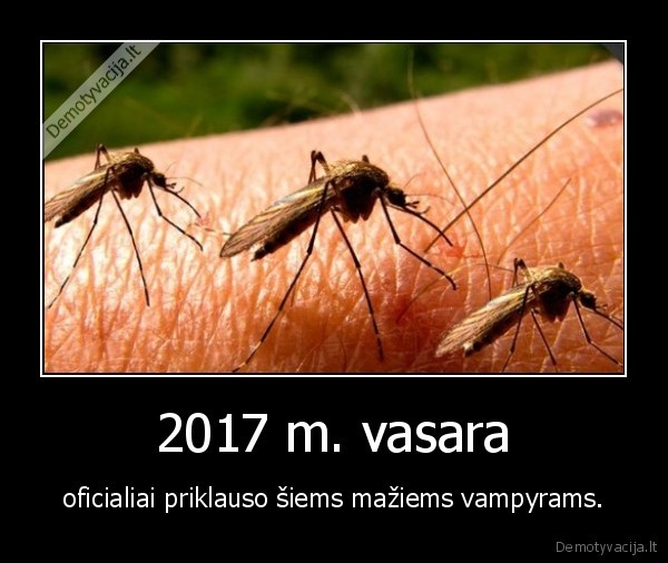 uodai,vasara,vampyrai