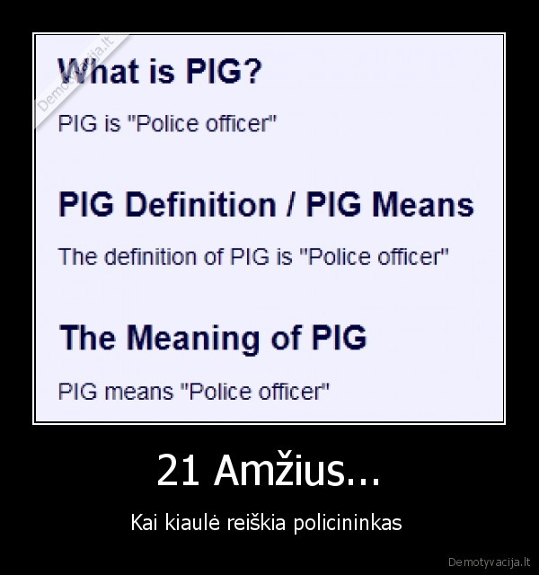 21 Amžius...