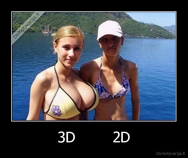 3D        2D