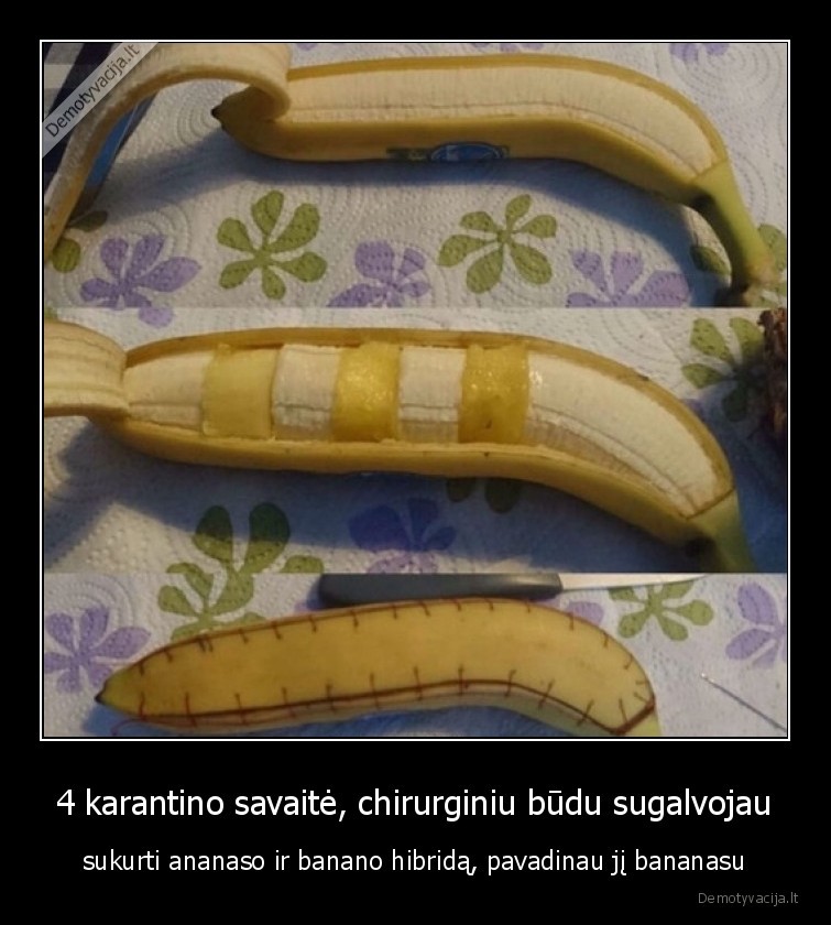 bananasas,anananas,bananas,chirurgas,karantinas