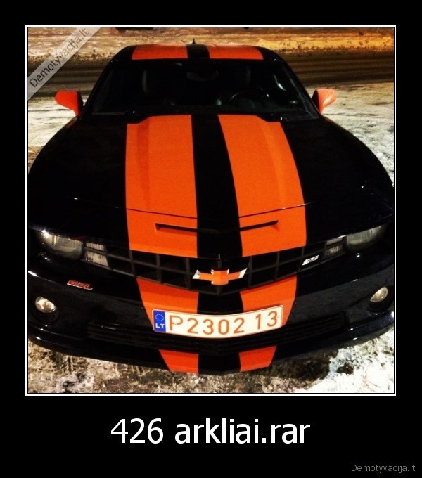 camaro, arkliai