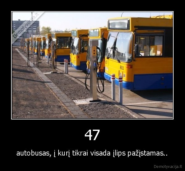 autobusas