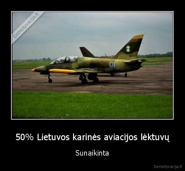 50% Lietuvos karinės aviacijos lėktuvų