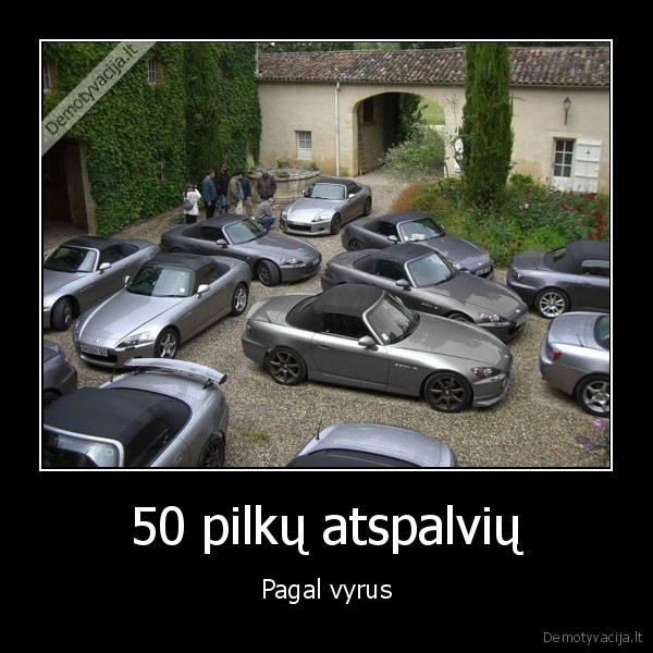 pilki, porsche,filmas,50, pilku, atspalviu