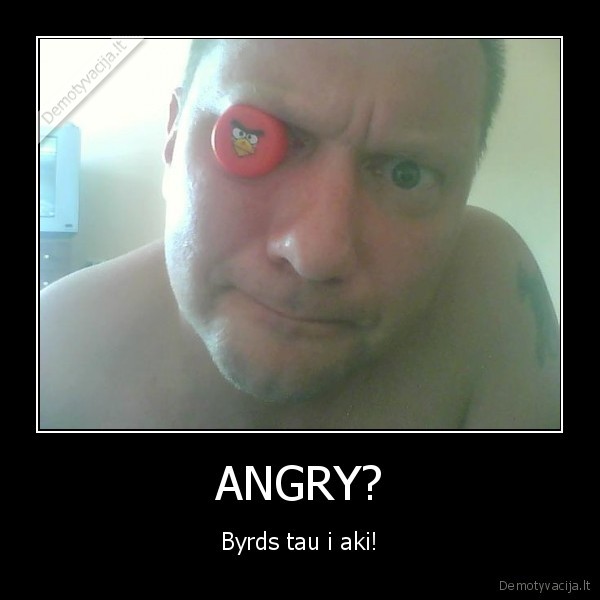 pyktis, angry, birds