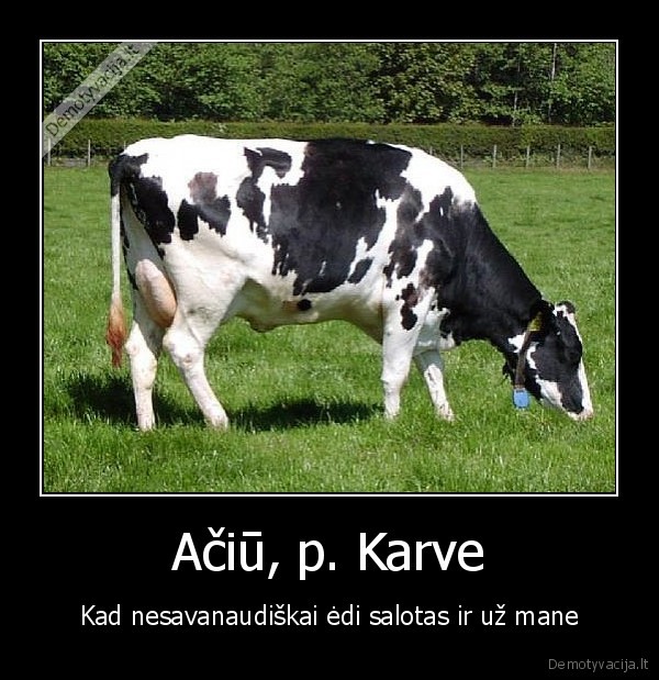 Ačiū, p. Karve