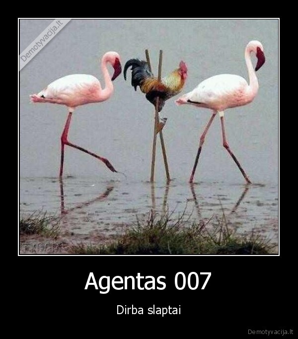 Agentas 007