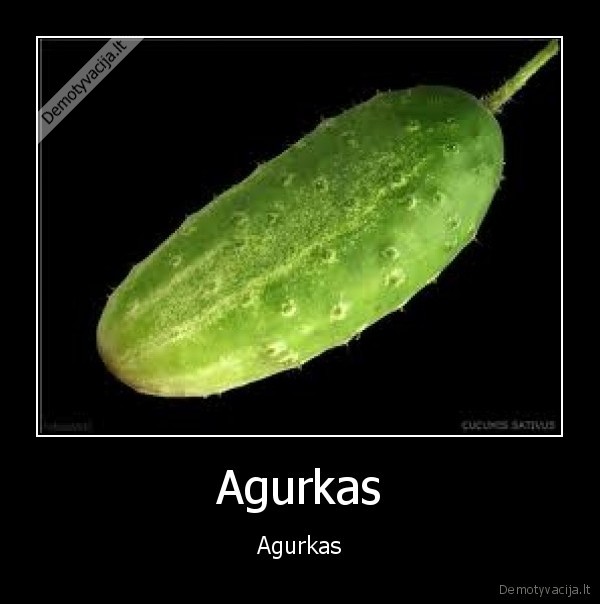 megstu, agurkus