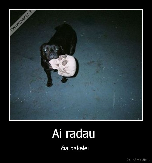 Ai radau 