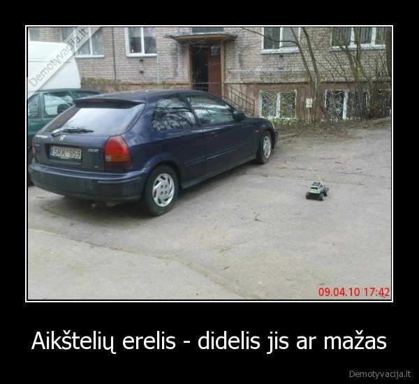 Aikštelių erelis - didelis jis ar mažas