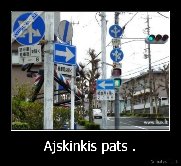 Ajskinkis pats .