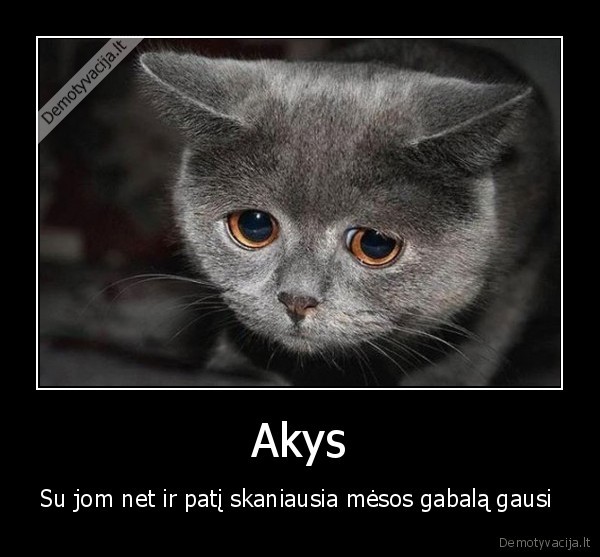 Akys