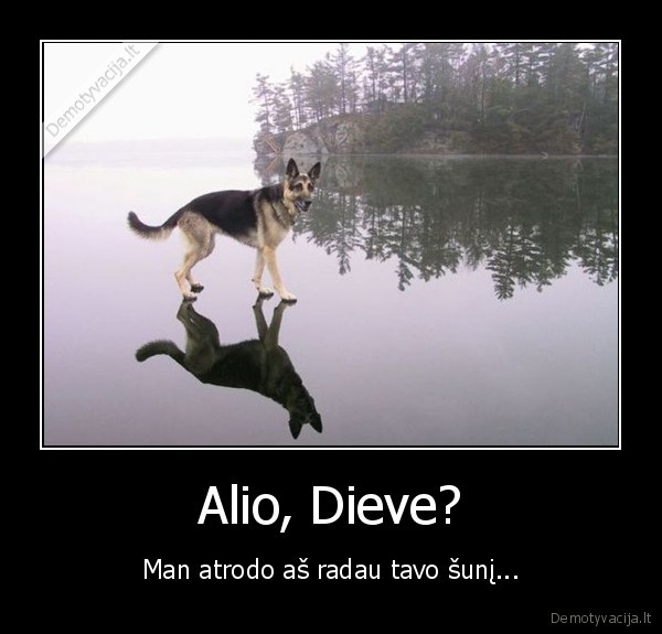 Alio, Dieve?