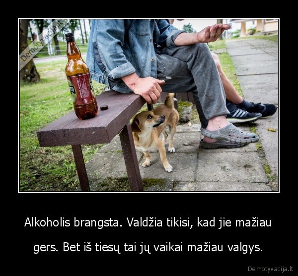 alkoholio, brangimas,pasalpiniai