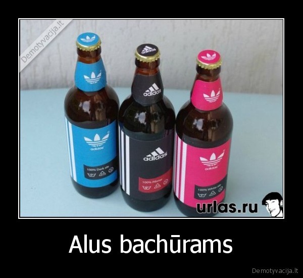 bachurai, alus, kubilius