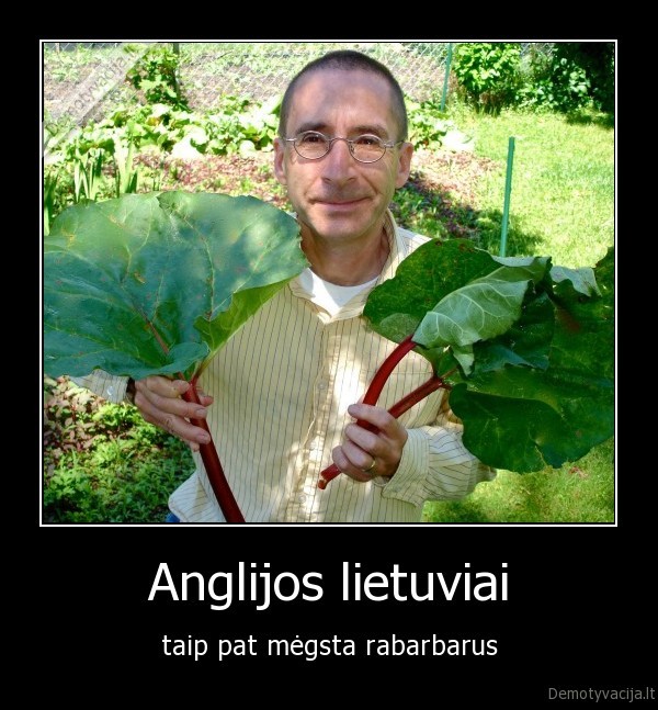 anglijos, lietuviai,rabarbarai,cukruoti, rabarbarai