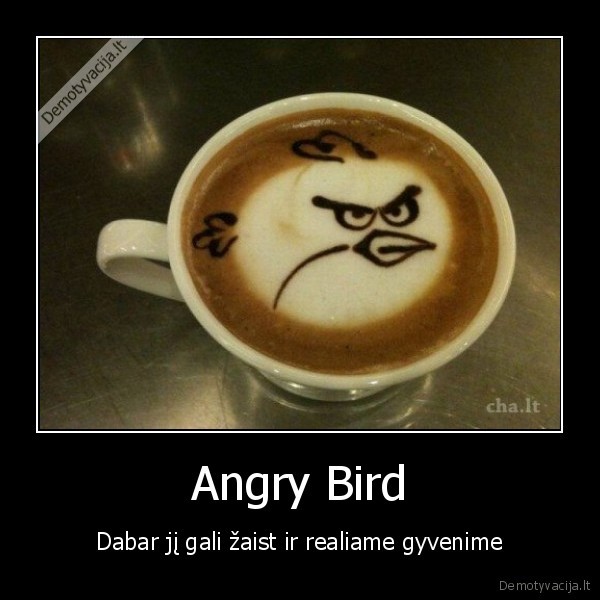 Angry Bird