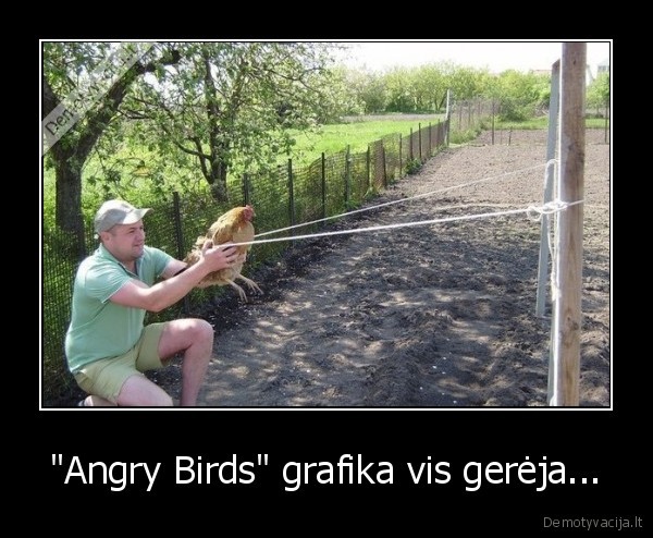 angry, birds,vista,realybe