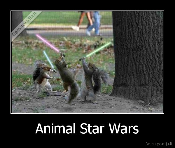 Animal Star Wars