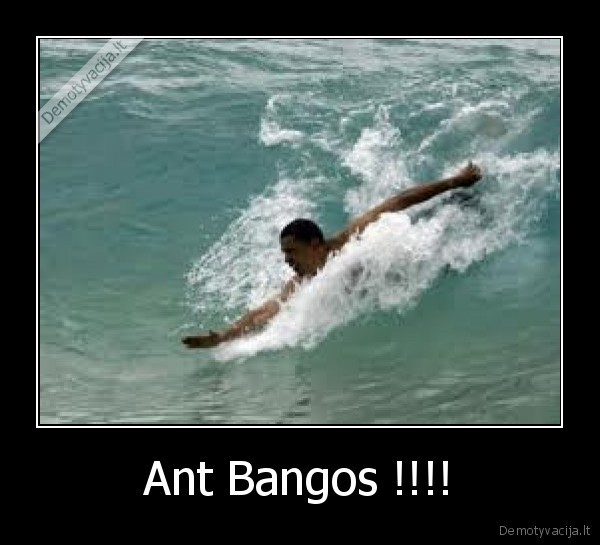 Ant Bangos !!!!