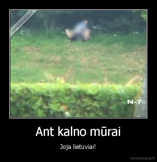 Ant kalno mūrai