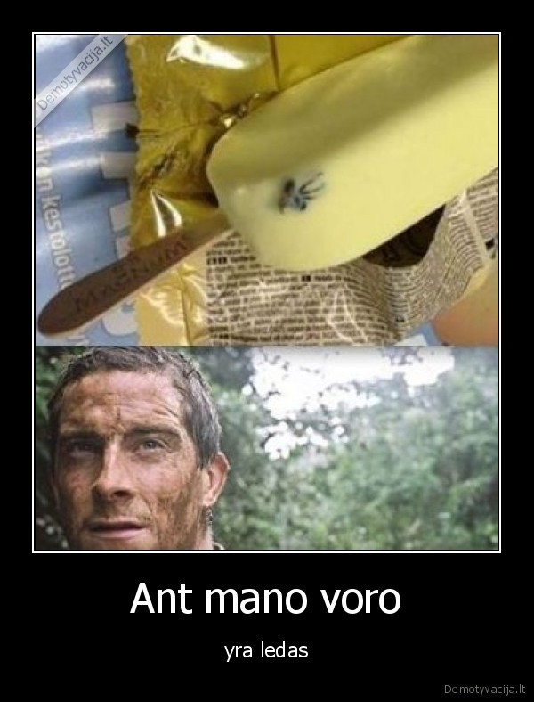 Ant mano voro