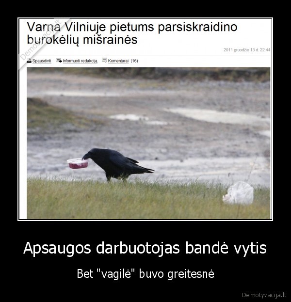 Apsaugos darbuotojas bandė vytis