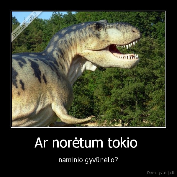 Ar norėtum tokio 