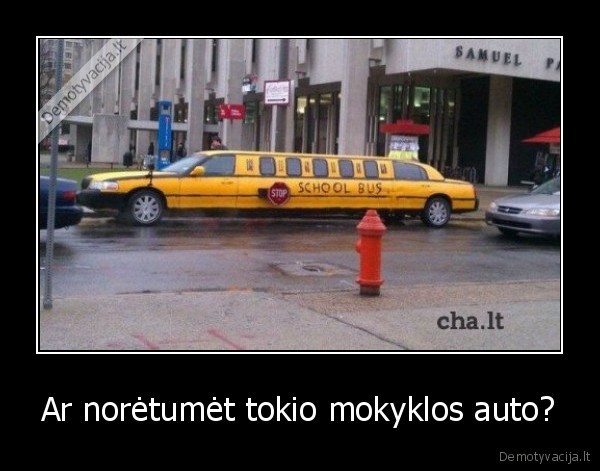 Ar norėtumėt tokio mokyklos auto?