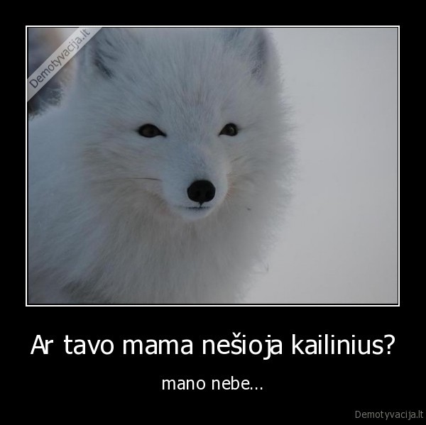 mama,mama, nesioja, kailinius,nesioti, kailinius,lape,baltoji, lape,balta