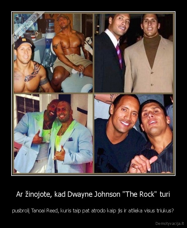 the, rock,dwayne, johson,dubleris